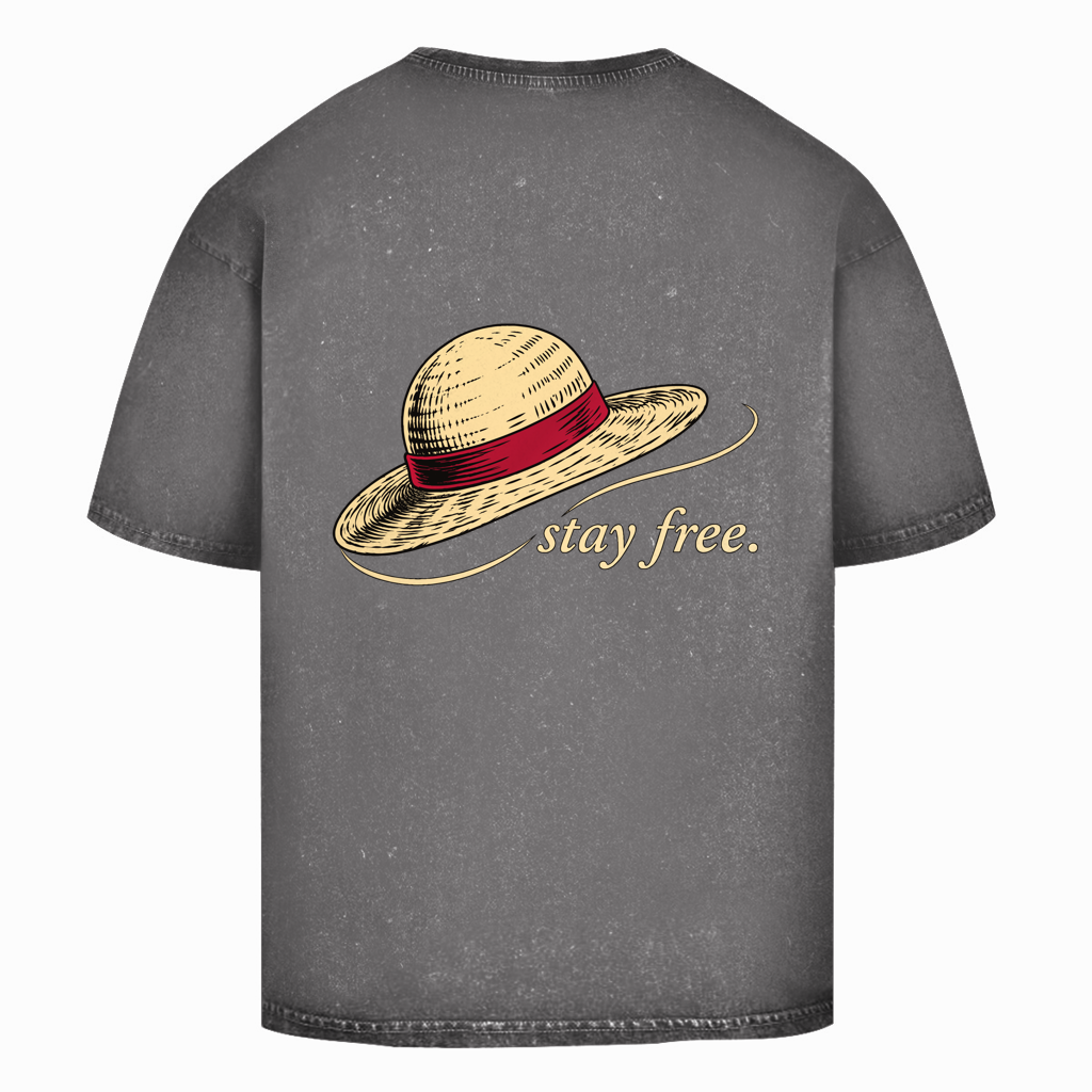 FORVYN Washed Oversize-T-Shirt „FREE SPIRIT“ in Asphalt – Rückansicht.