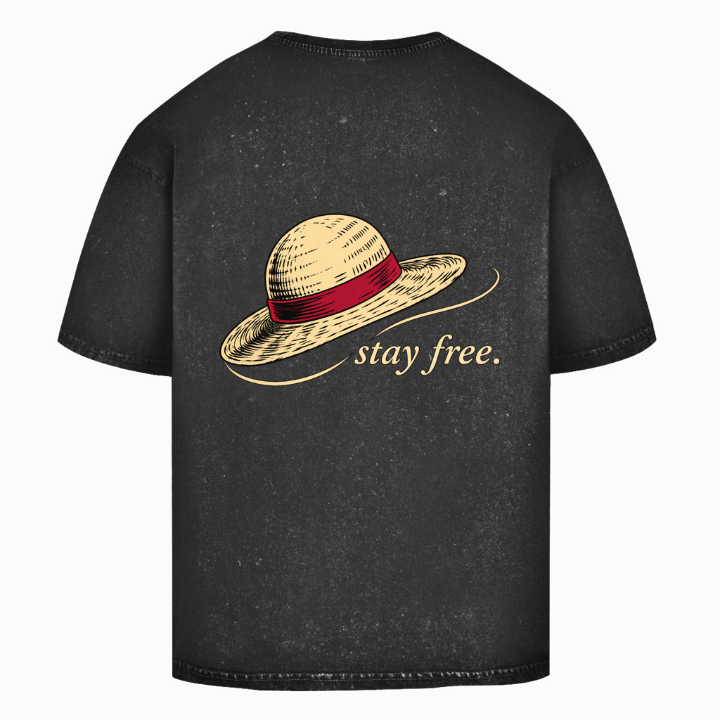 FORVYN Washed Oversize-T-Shirt „FREE SPIRIT“ in Schwarz – Rückansicht.